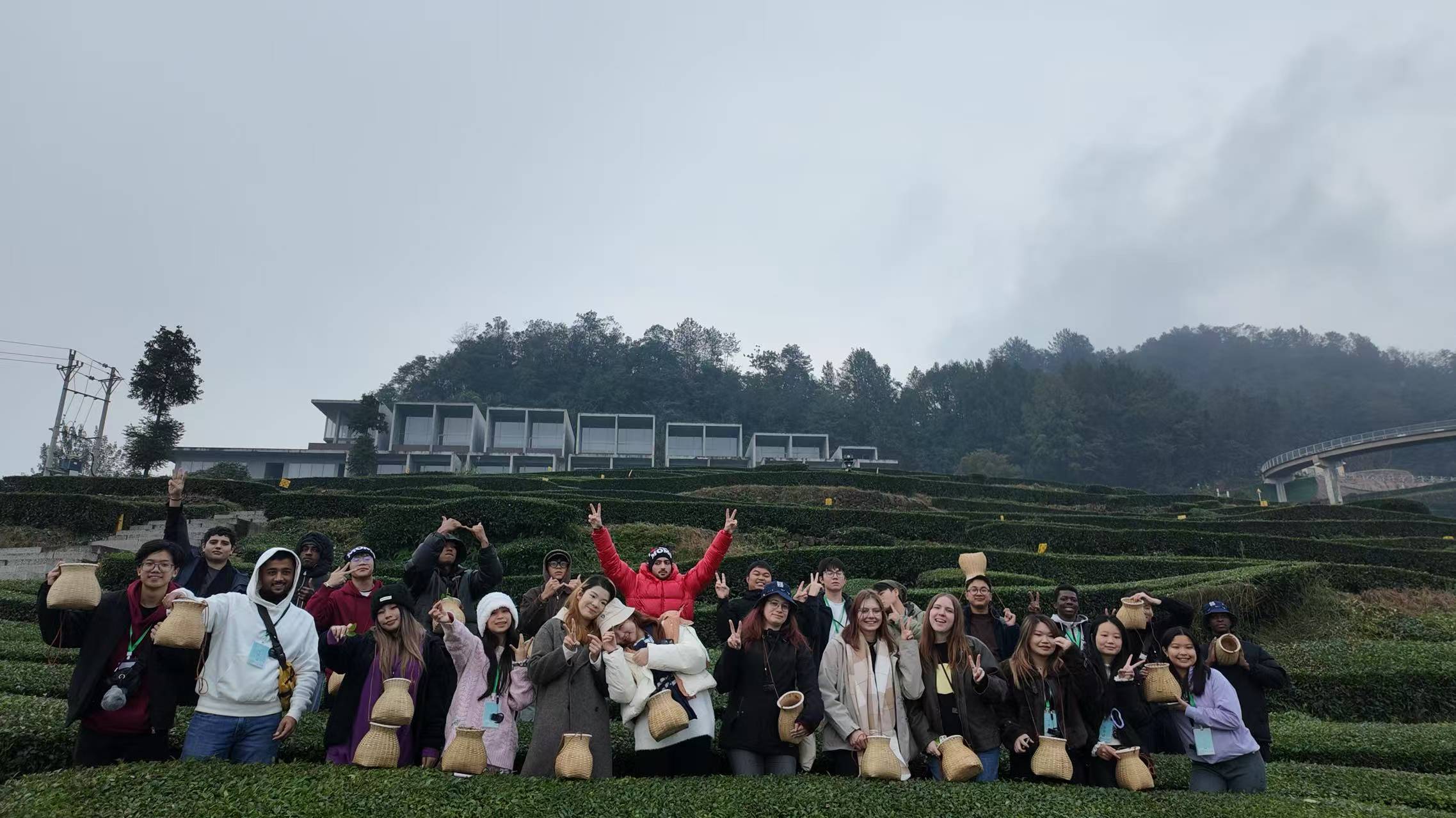 Students at tea plantation